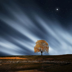 少妇高潮A片特黄高清美女跳舞
